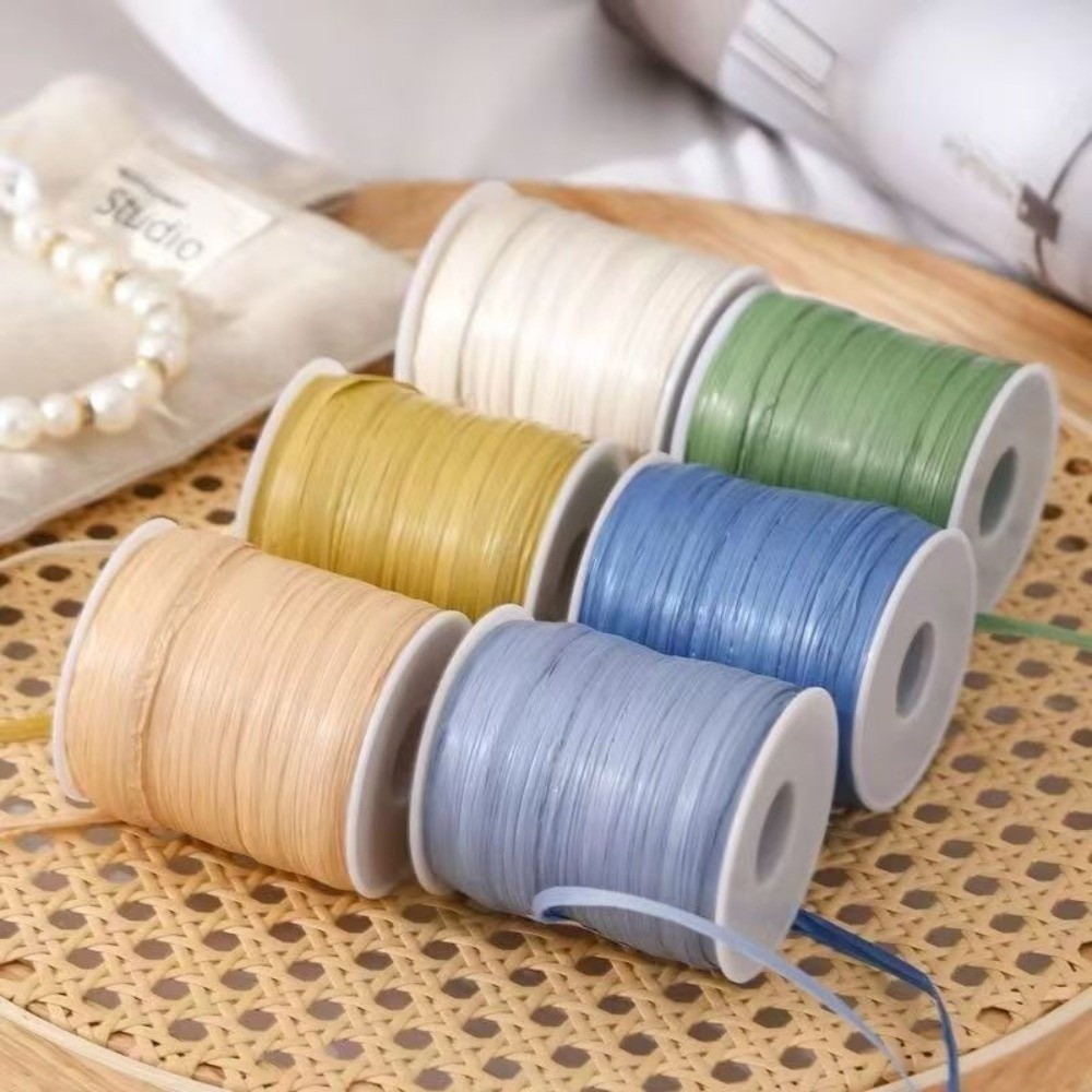 Premium Quality 120M Per Roll  - Crochet Bag Raffia recensione e prezzo